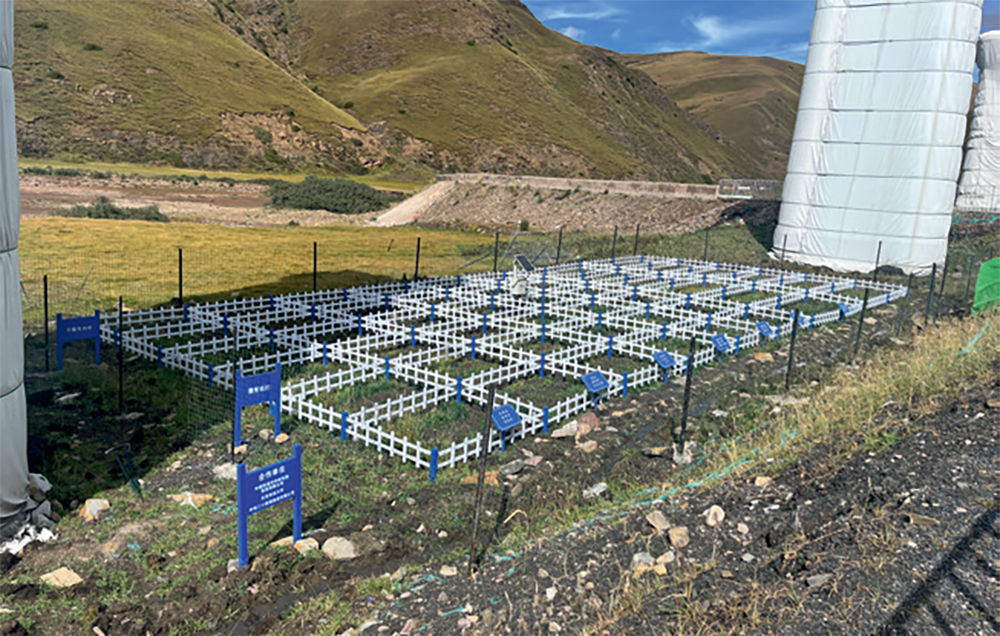 高原植被恢复试验样地